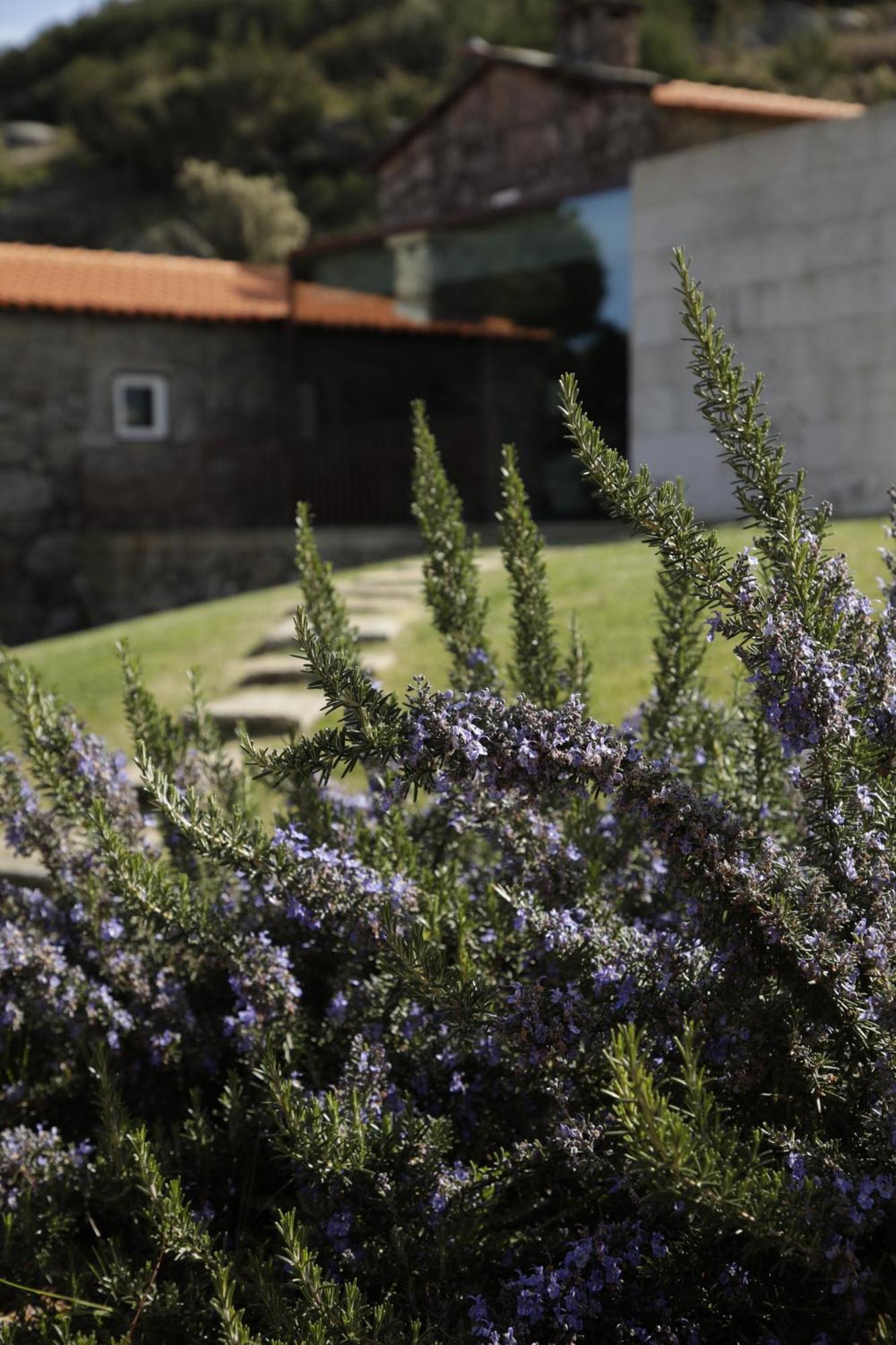 Geres - Leiras Do Tempo - Villa